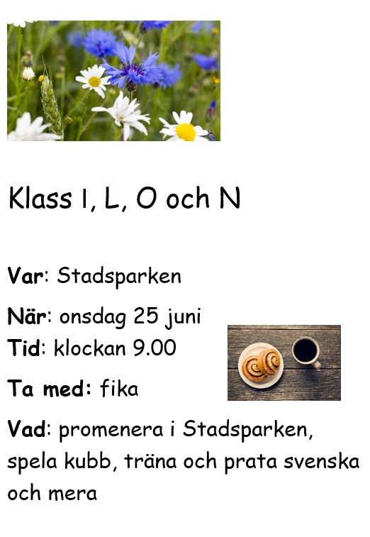 Sommarfest Stadsparken
