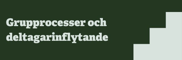 Grupprocesser och deltagarinflytande