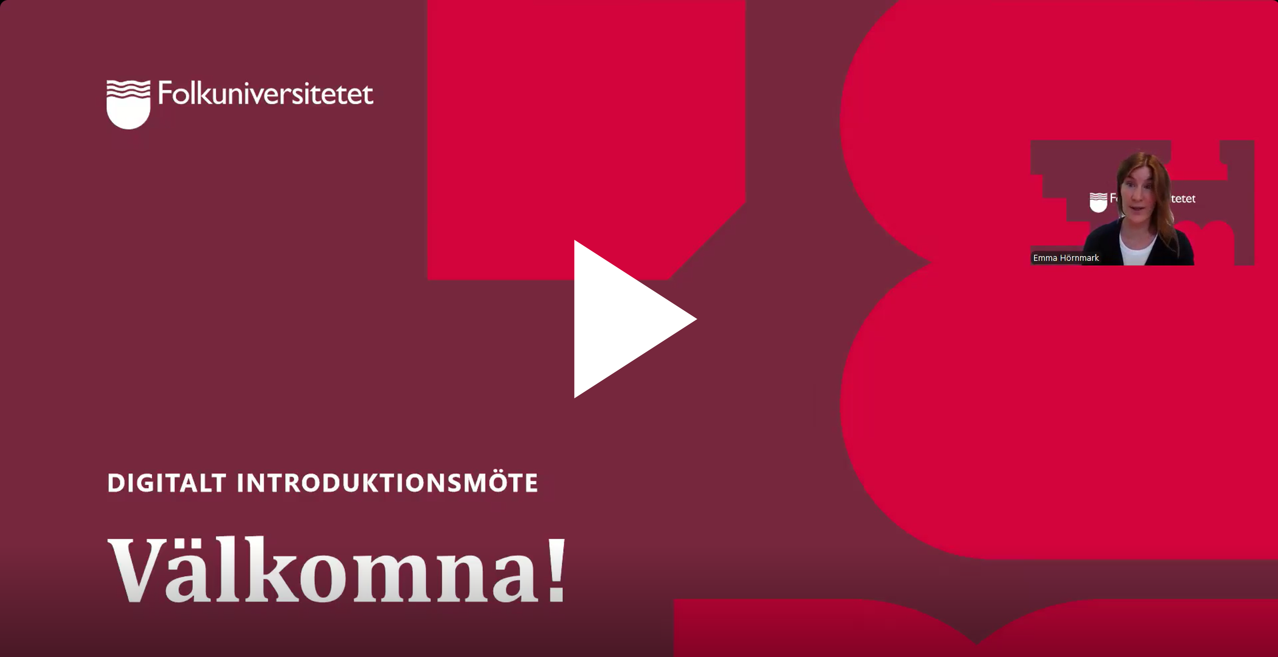 Länk till video